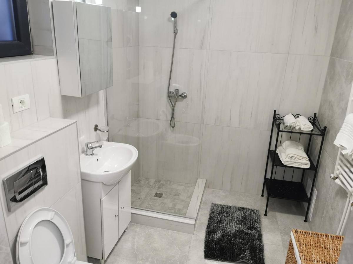 Jolie Luxury Apartments II Timisoara Bagian luar foto