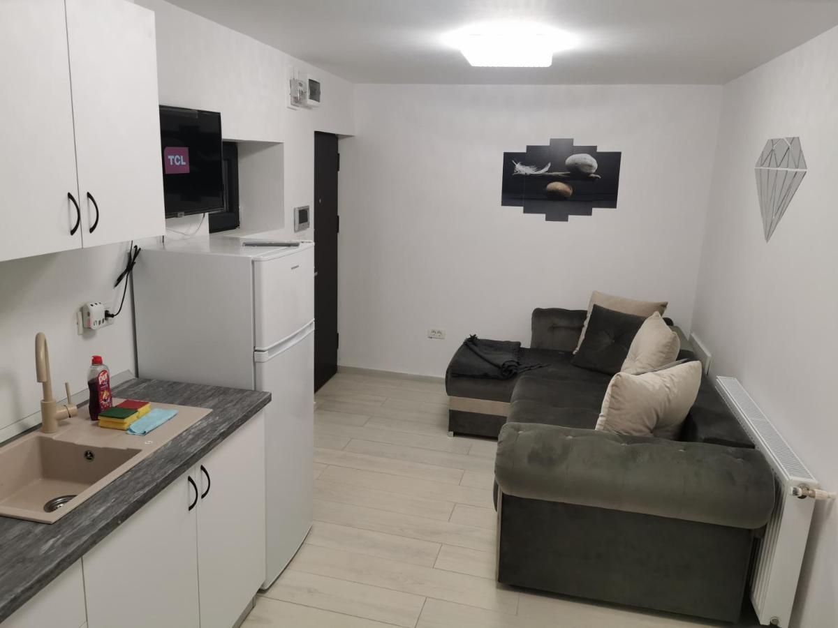 Jolie Luxury Apartments II Timisoara Bagian luar foto